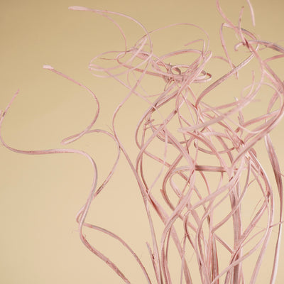 Curly ting rose brumeux