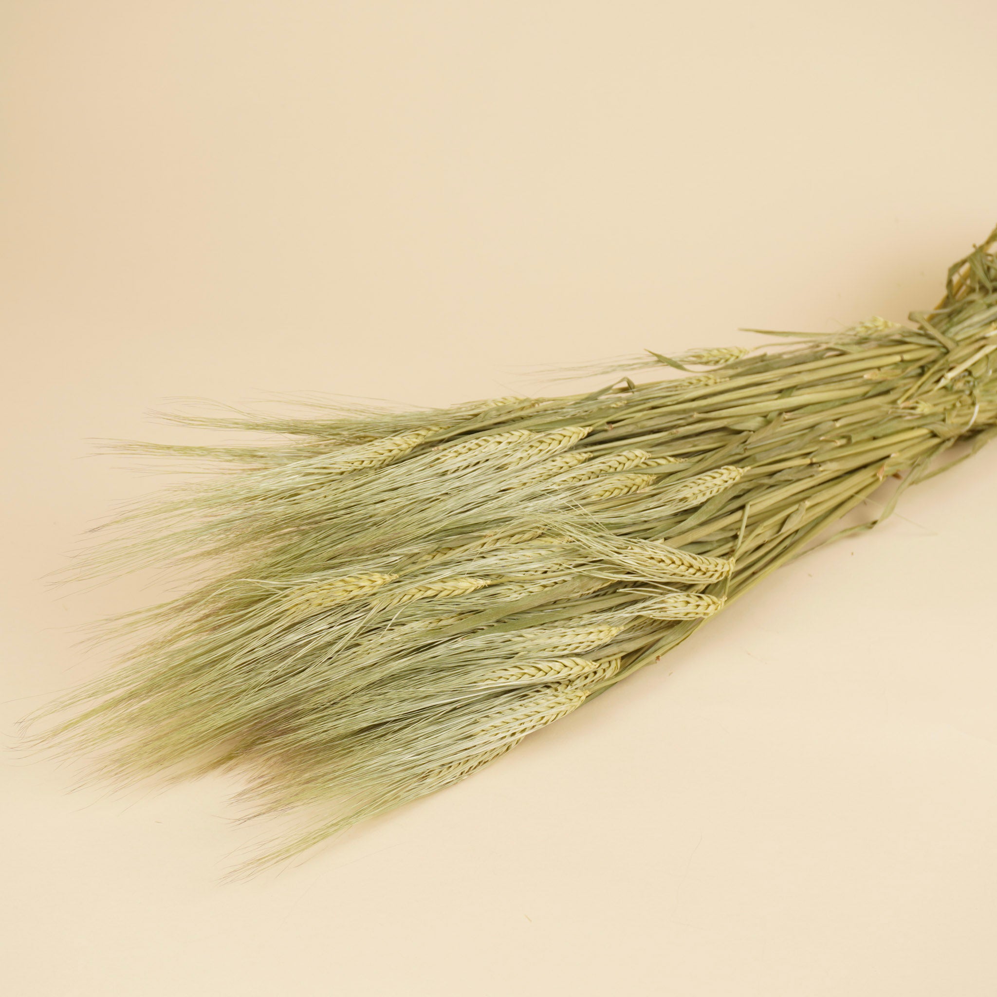 Orge séchée Naturel (orge)