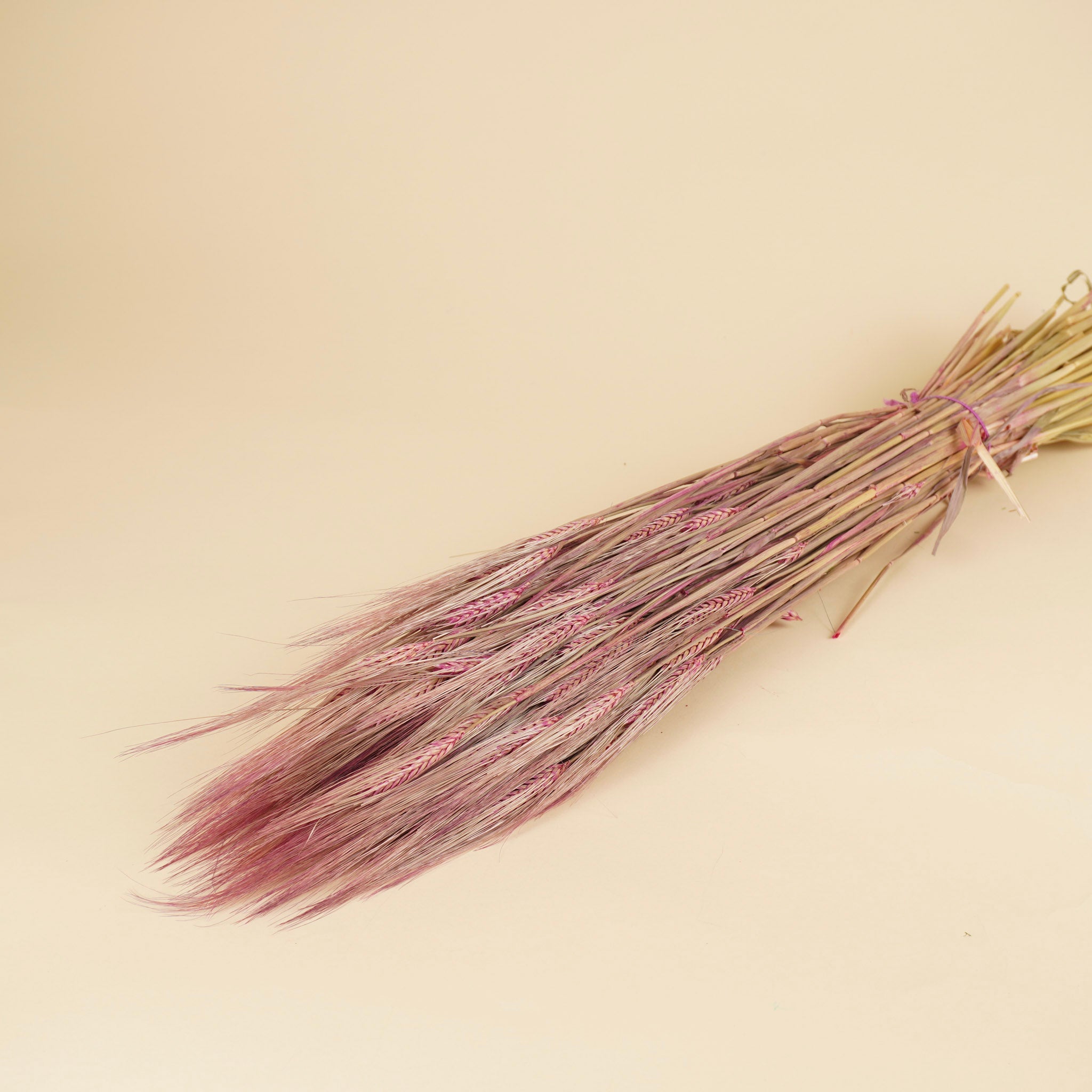 Orge rose 70 cm
