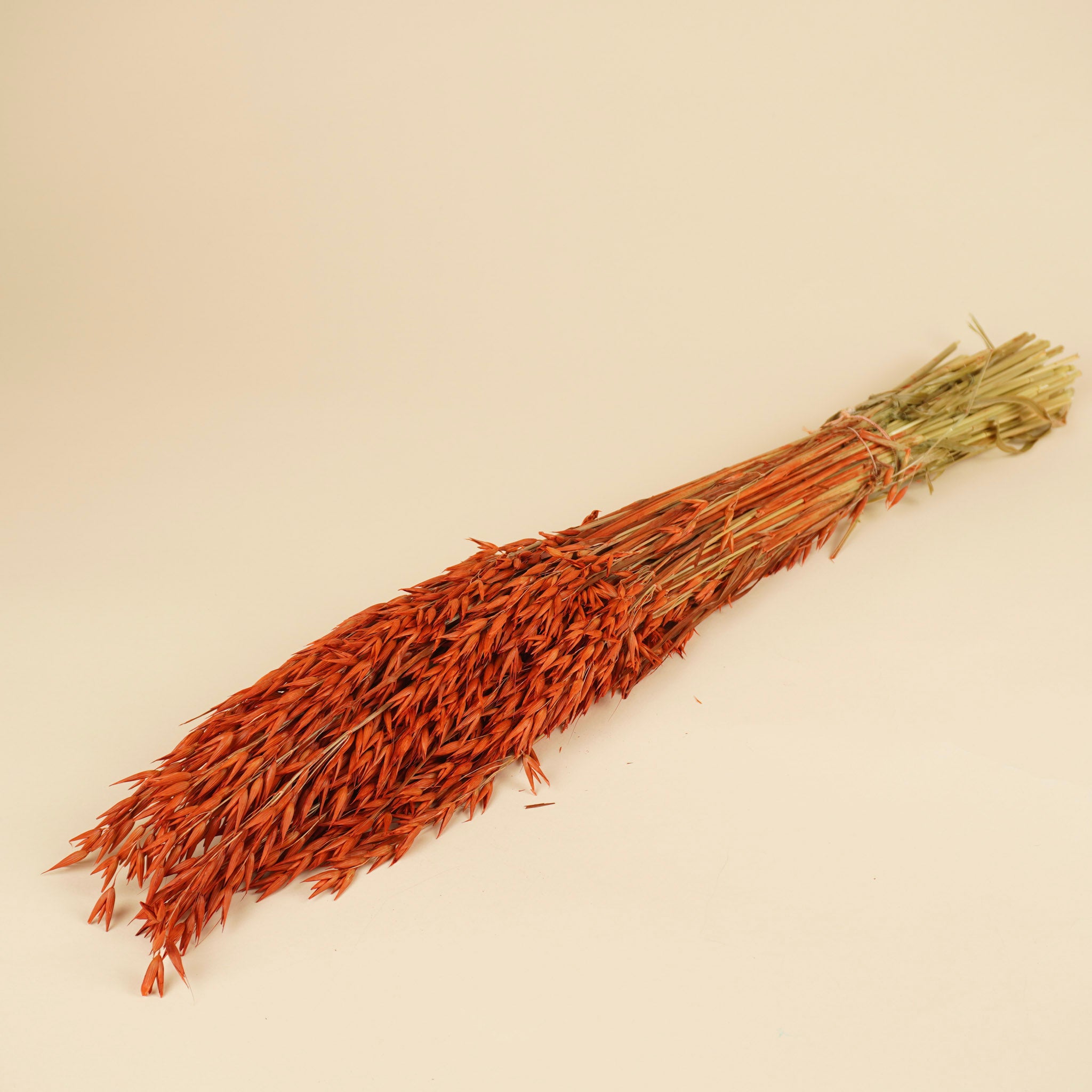 Gedroogde haver (avena) – oranje