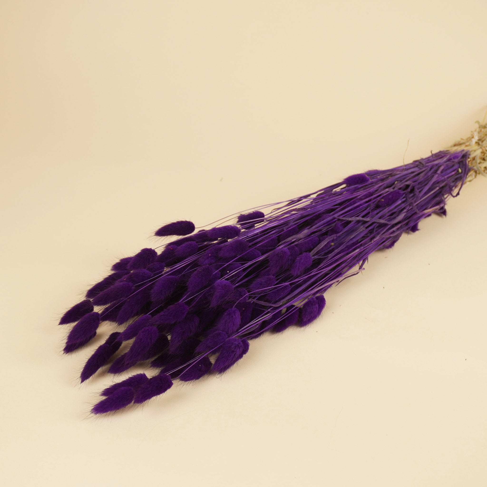 Botao Botton Dark blue dried