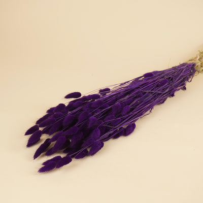 Botao Botton Dark blue dried