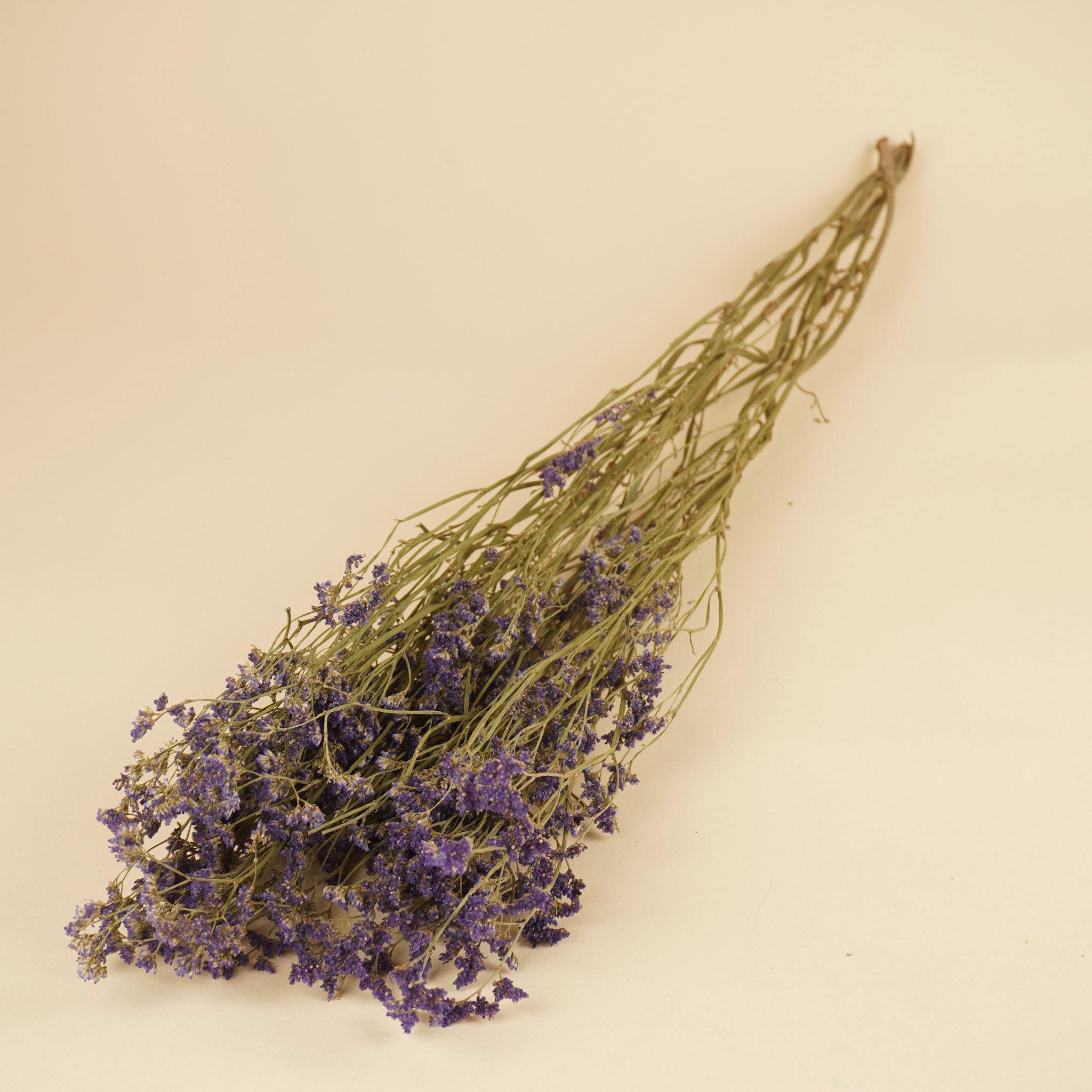 Diamant limonium séché Sinensis Purple