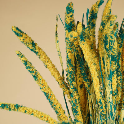 Amaranthus séché rouge