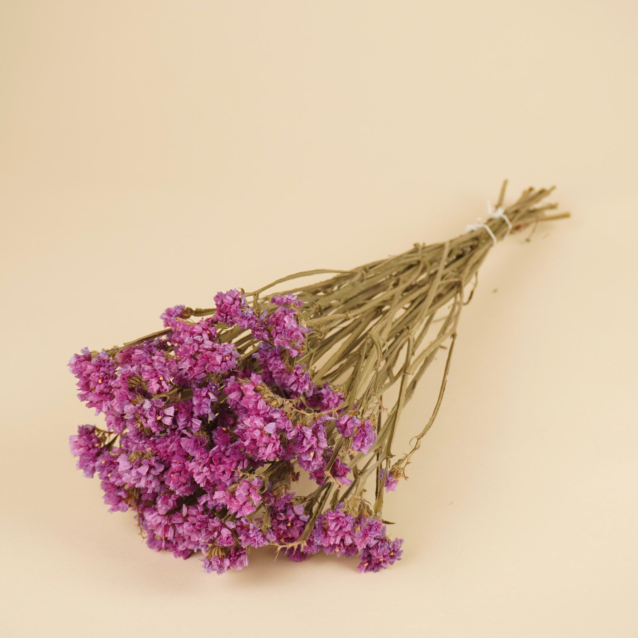 Dried Statice Lila
