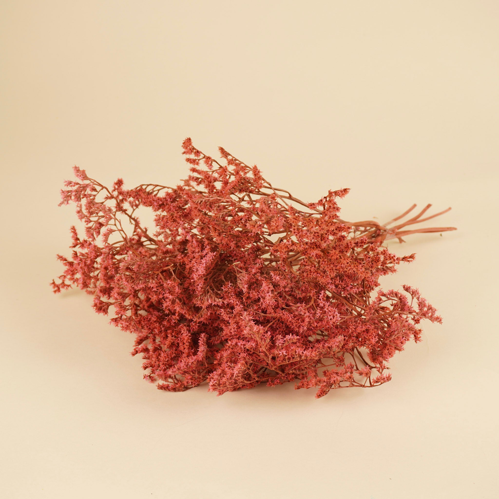 Dried Statice Tatarica Pink