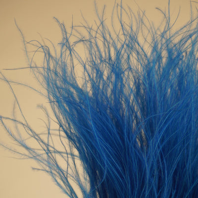 Stypa penata séché bleu clair