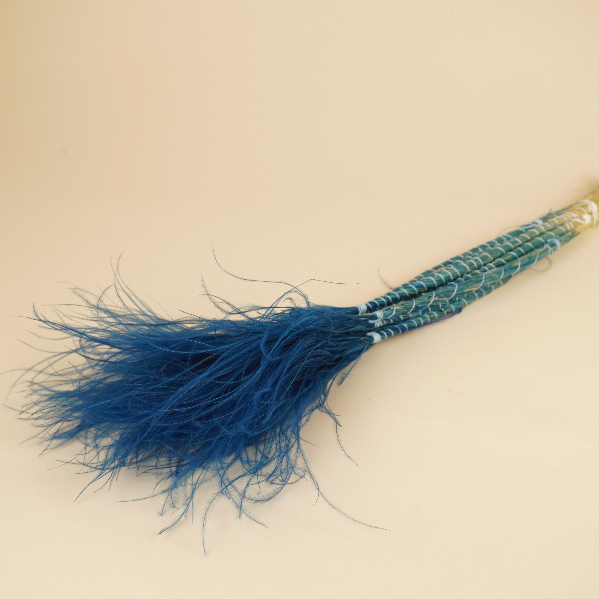 Stypa penata séché bleu clair