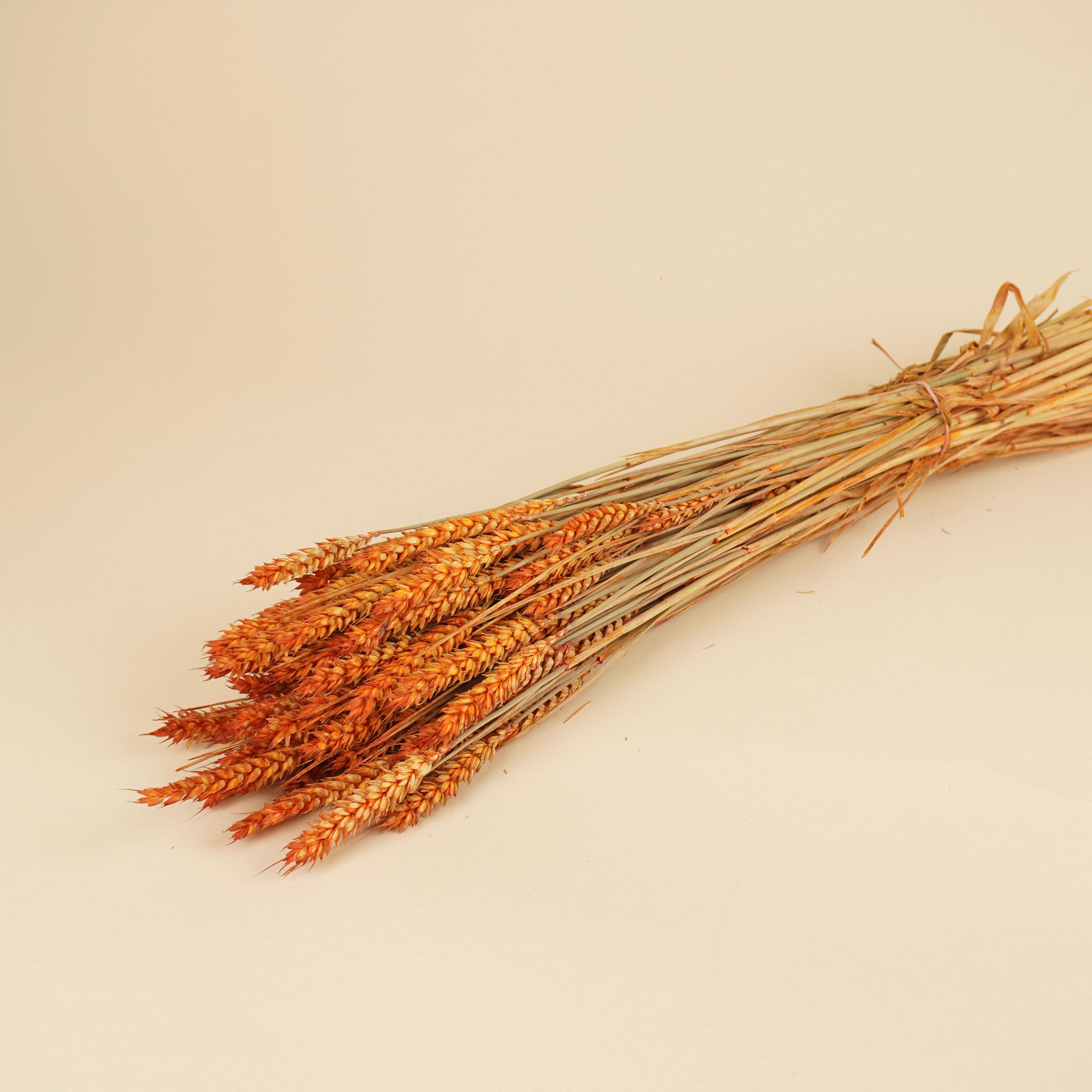 Gedroogde tarwe – oranje