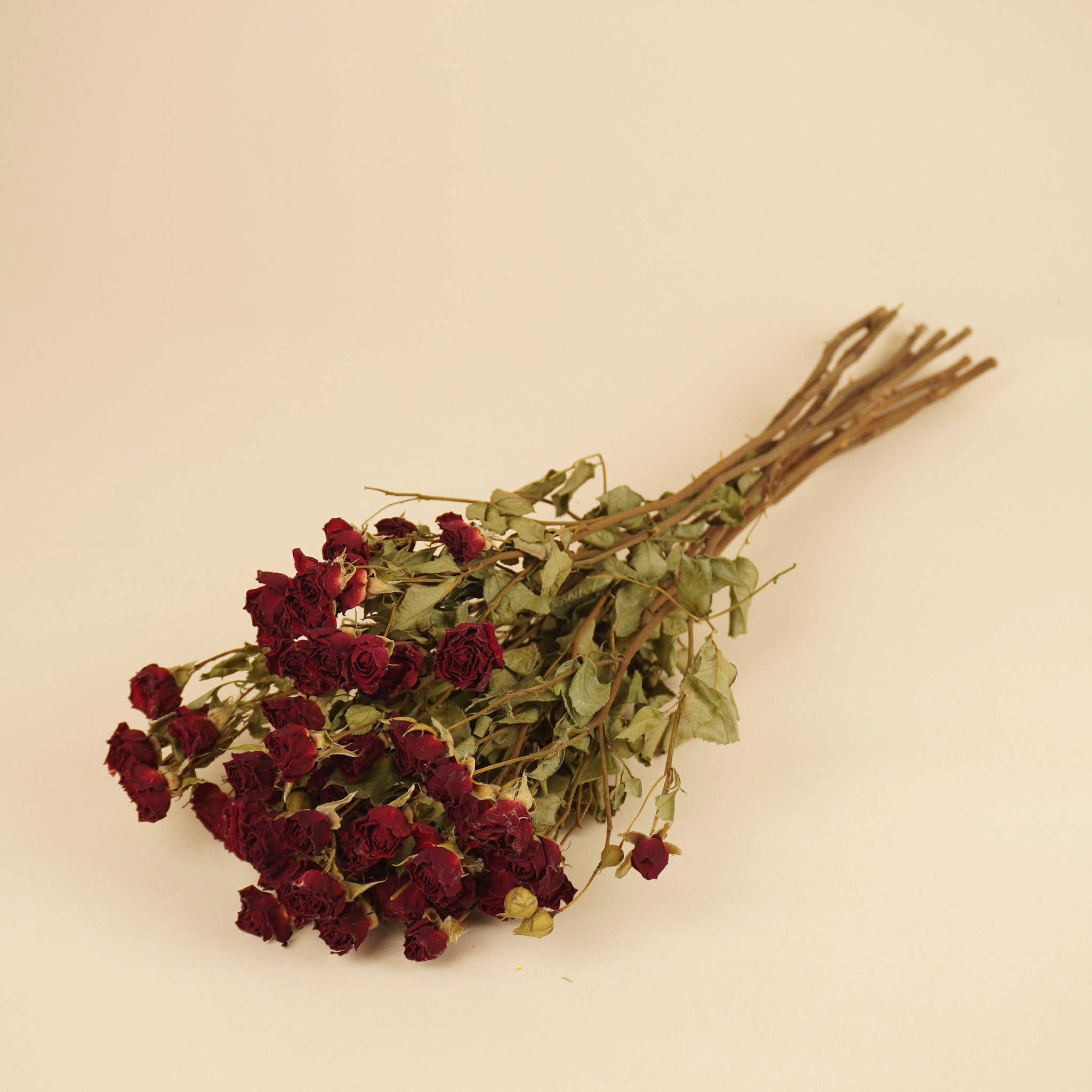 Roses rouges foncées séchées