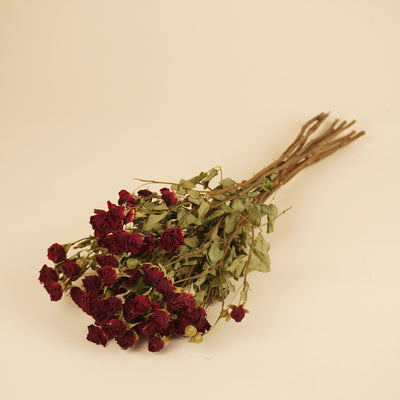 Roses rouges foncées séchées