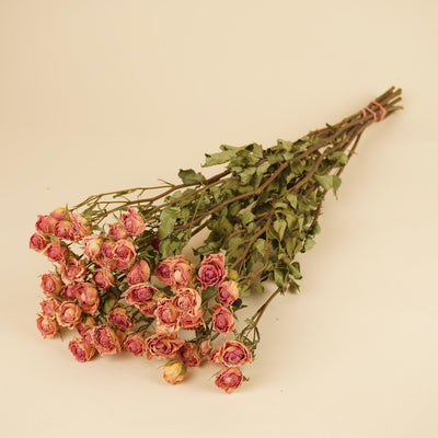 Dried pink bunch