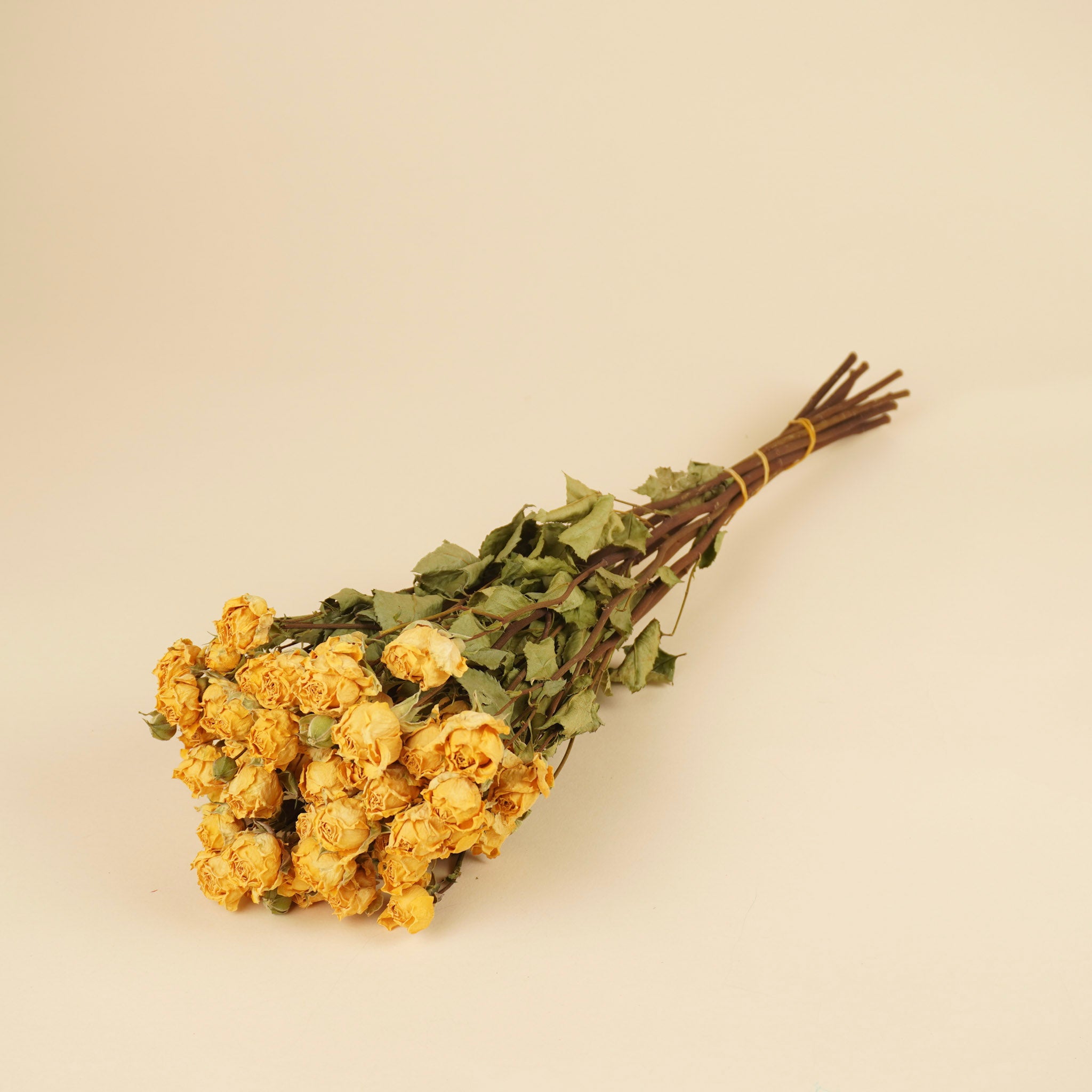 Dried cluster roses yellow