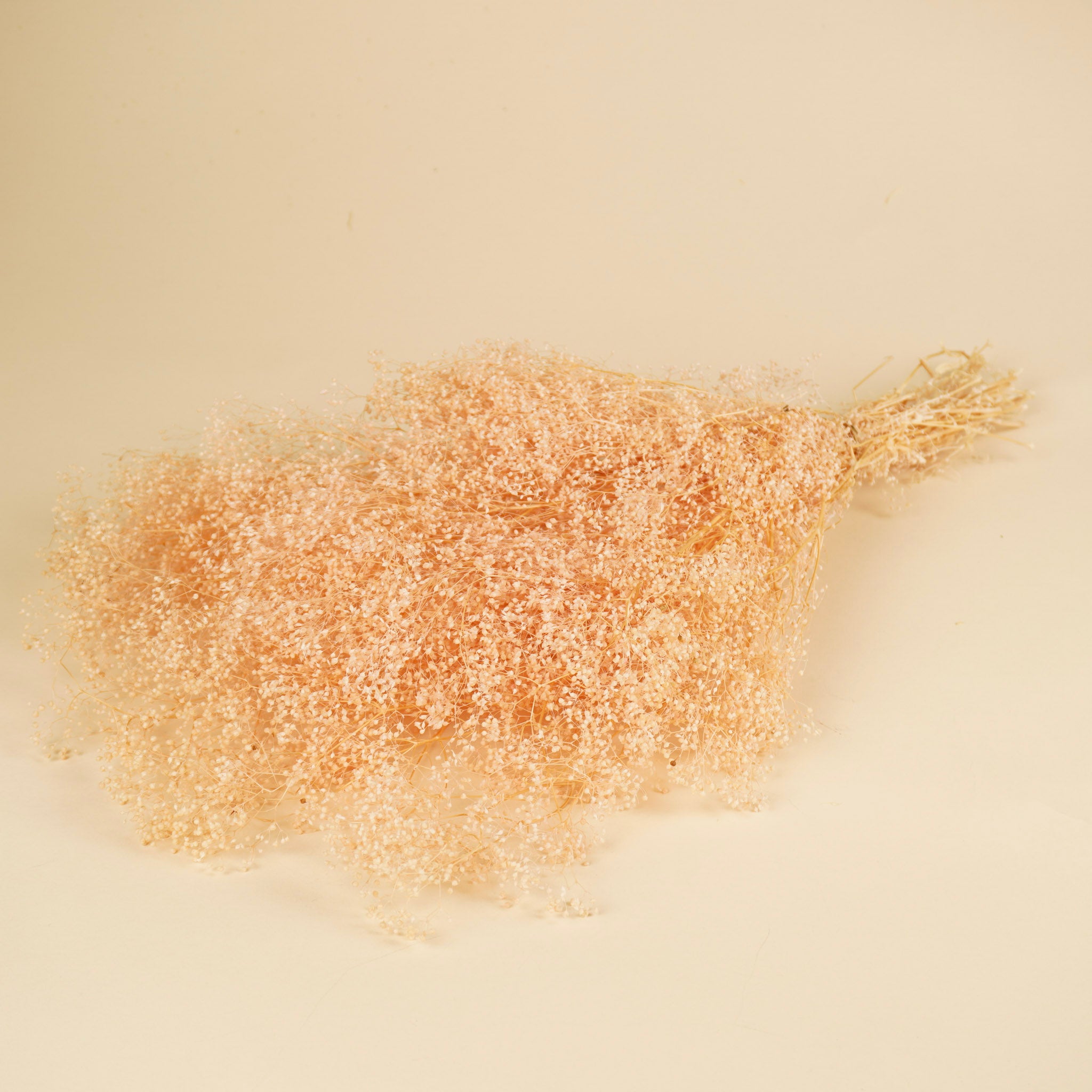 Mini gypsophila light pink preserved (gypsum)
