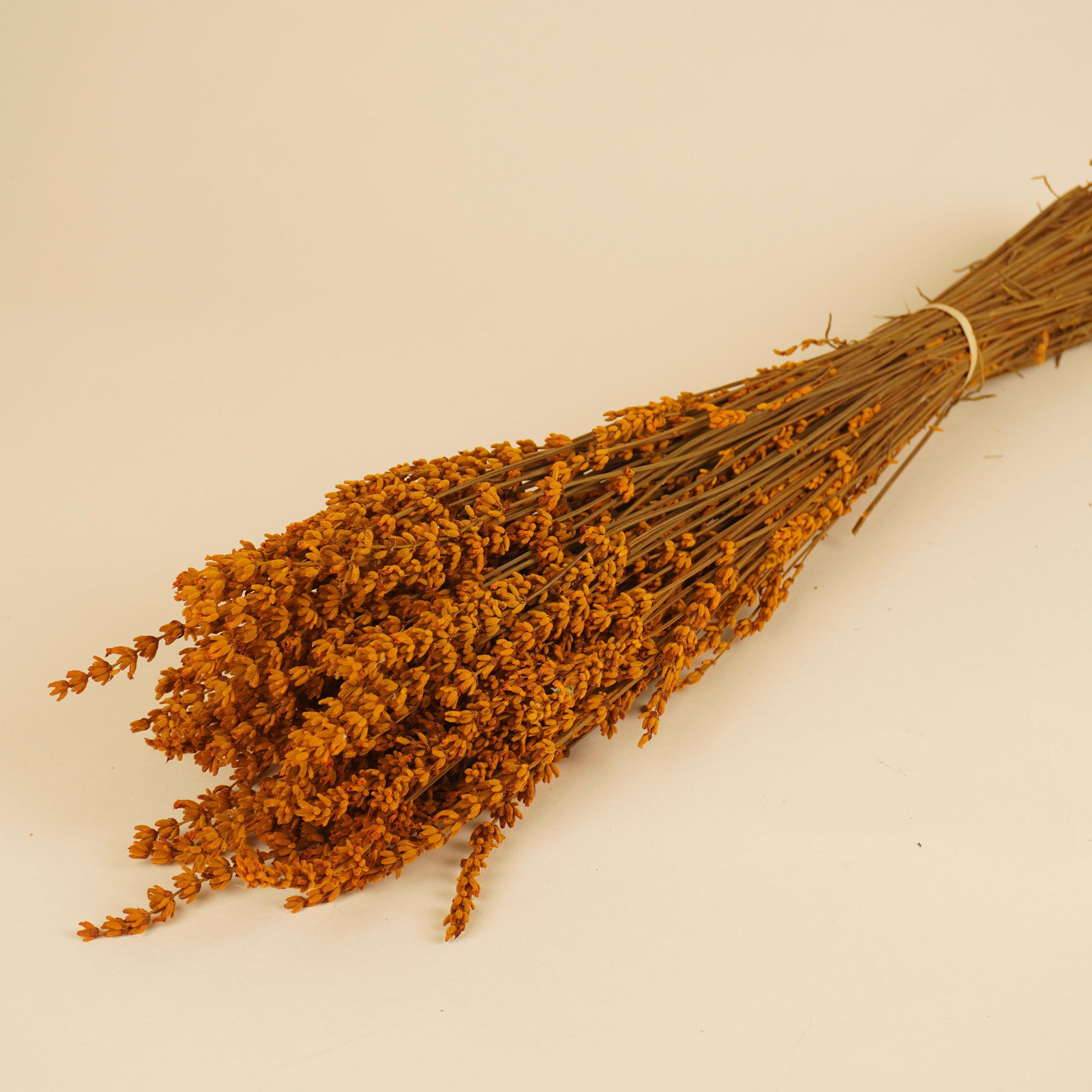 Gepreserveerde lavendel – diep oranje