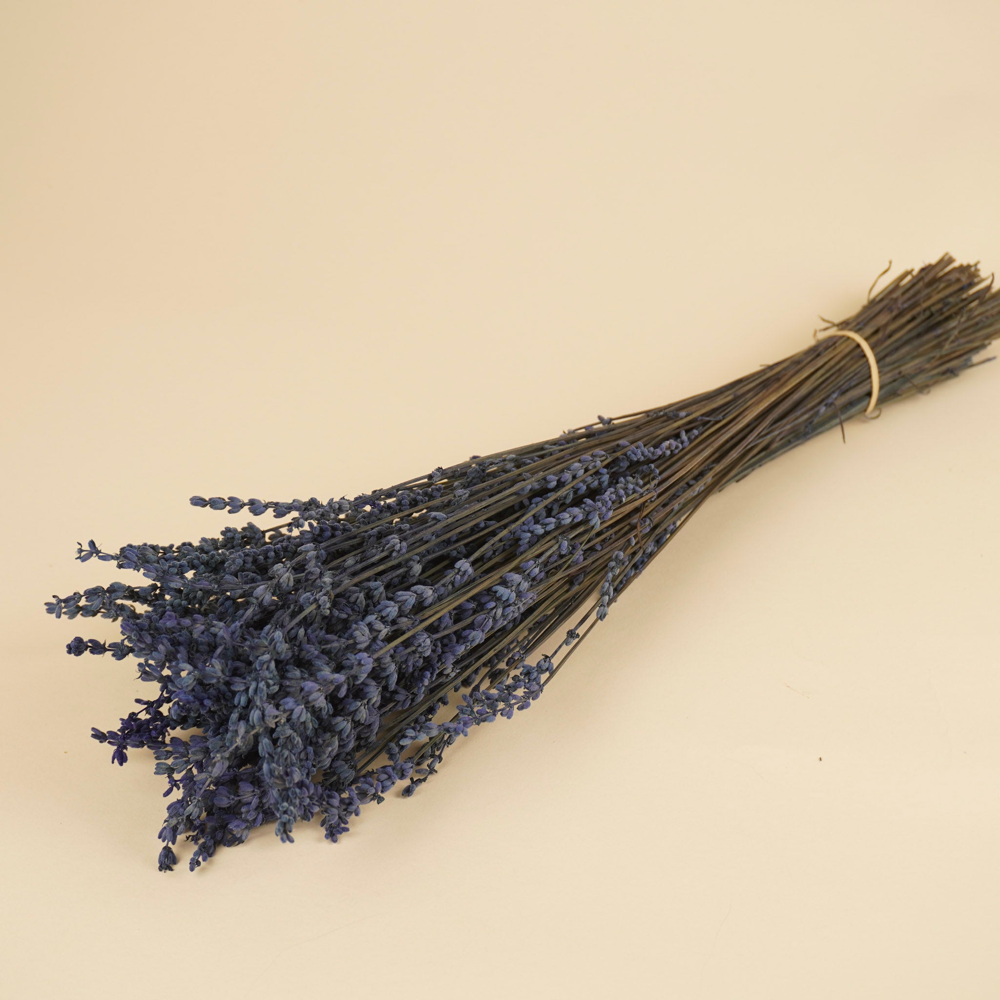 Gepreserveerde lavendel – donkerblauw