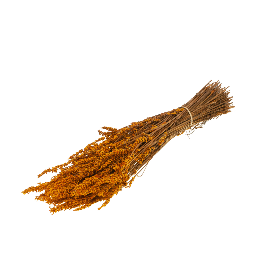 Gepreserveerde lavendel – diep oranje