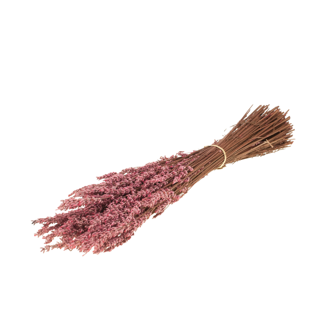 Botao Botton dunkelblau getrocknet