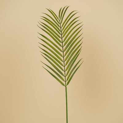 Chamaedorea soyeux – Vert (75 cm)