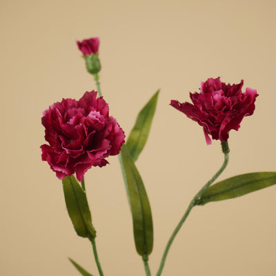 Zijde Dianthus – Paars (70 cm)