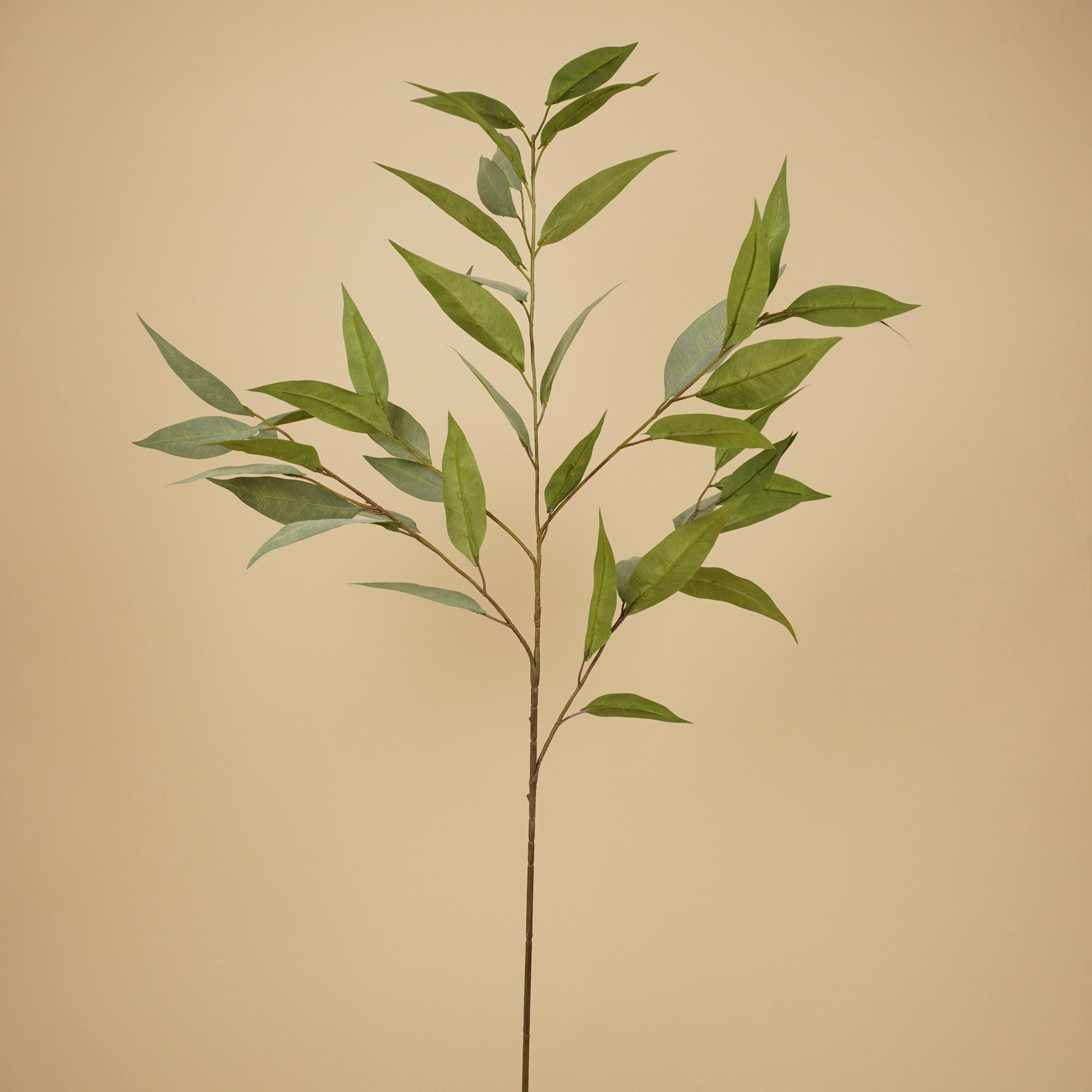 Eucalyptus soyeux – Gris (93 cm)
