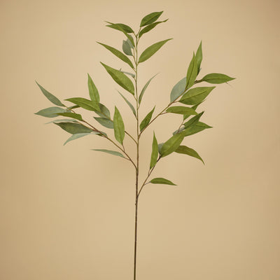 Eucalyptus soyeux – Gris (93 cm)