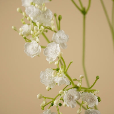 Gypsophile soyeuse – Blanche (68 cm)