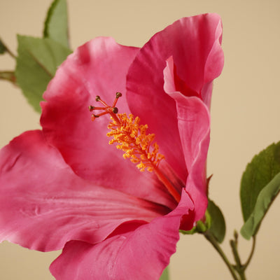 Zijde Hibiscus Tak – Fuchsia Roze (102 cm)
