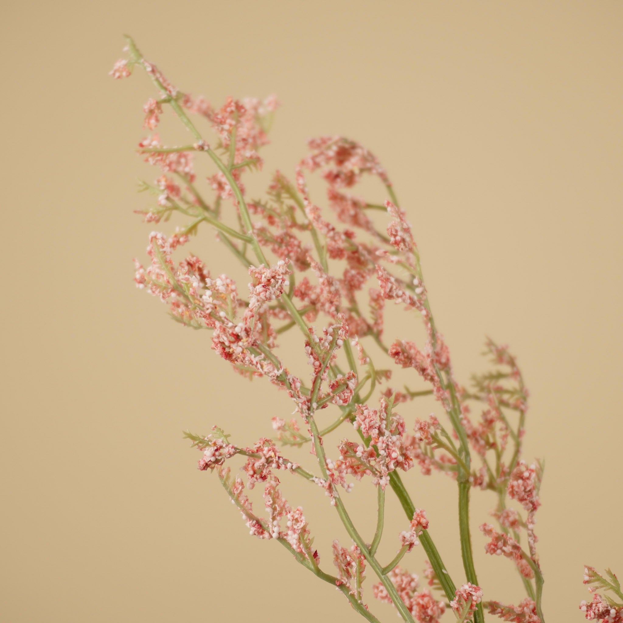 Branche de limonium en soie – Rose tendre (82 cm)