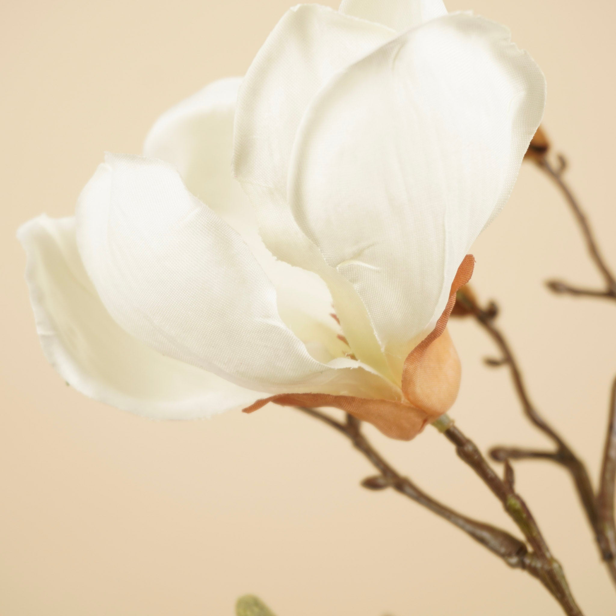 Zijde magnoliatak wit