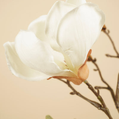 Zijde magnoliatak wit