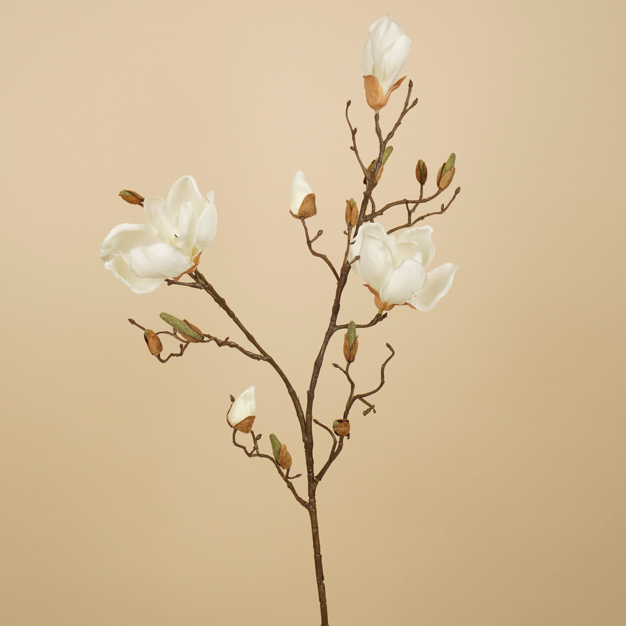 Zijde magnoliatak wit