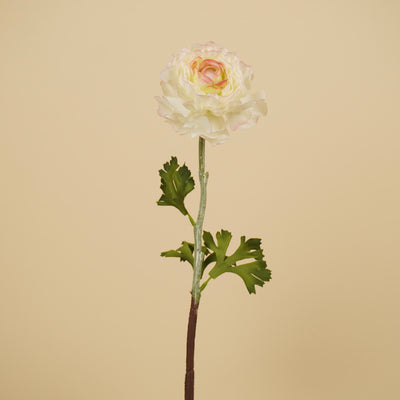 Zijde Ranonkel Spray – Crème/Roze (50 cm)