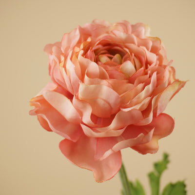 Spray de renoncules en soie – Rose (50 cm)