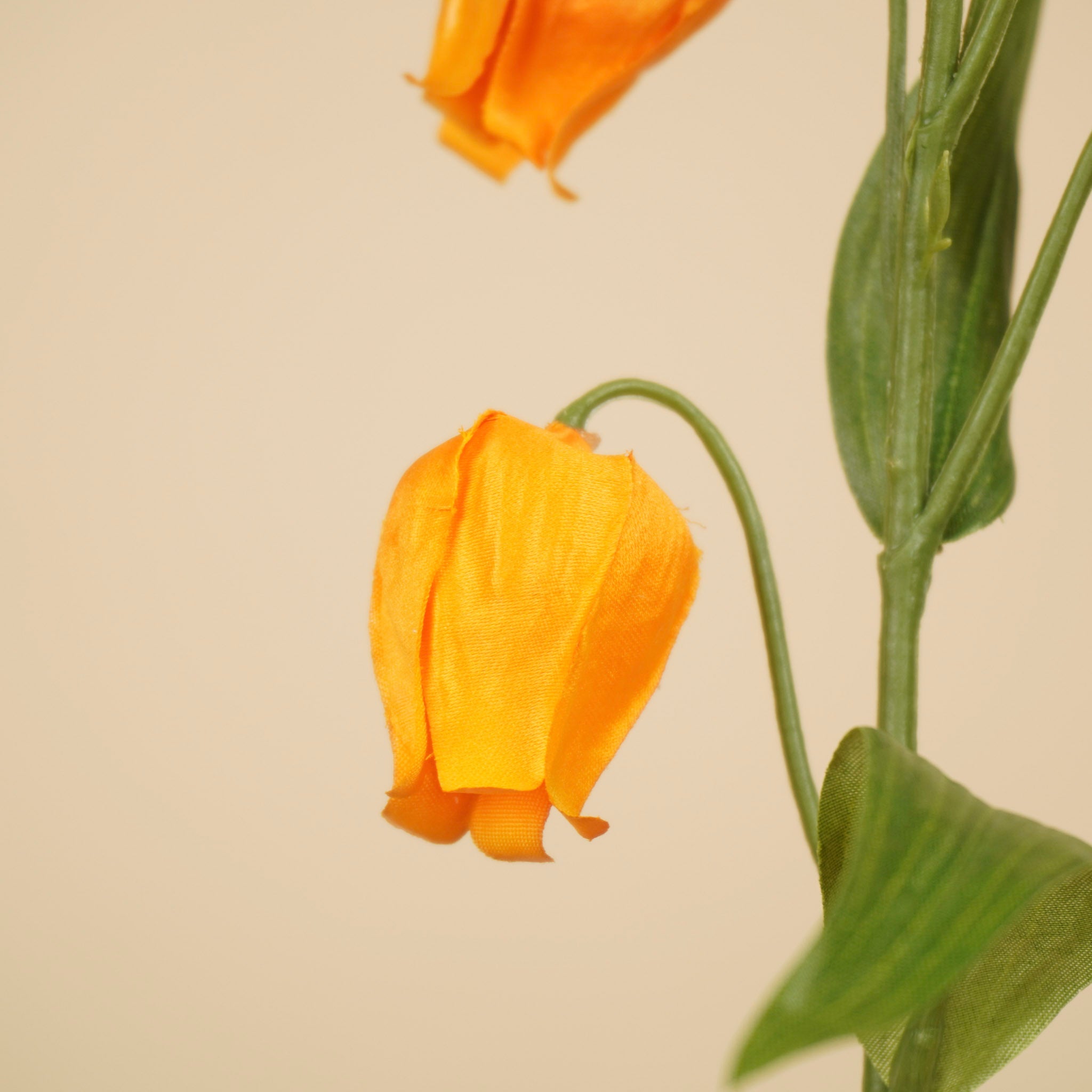 Zijde sandersonia lantaarntak oranje