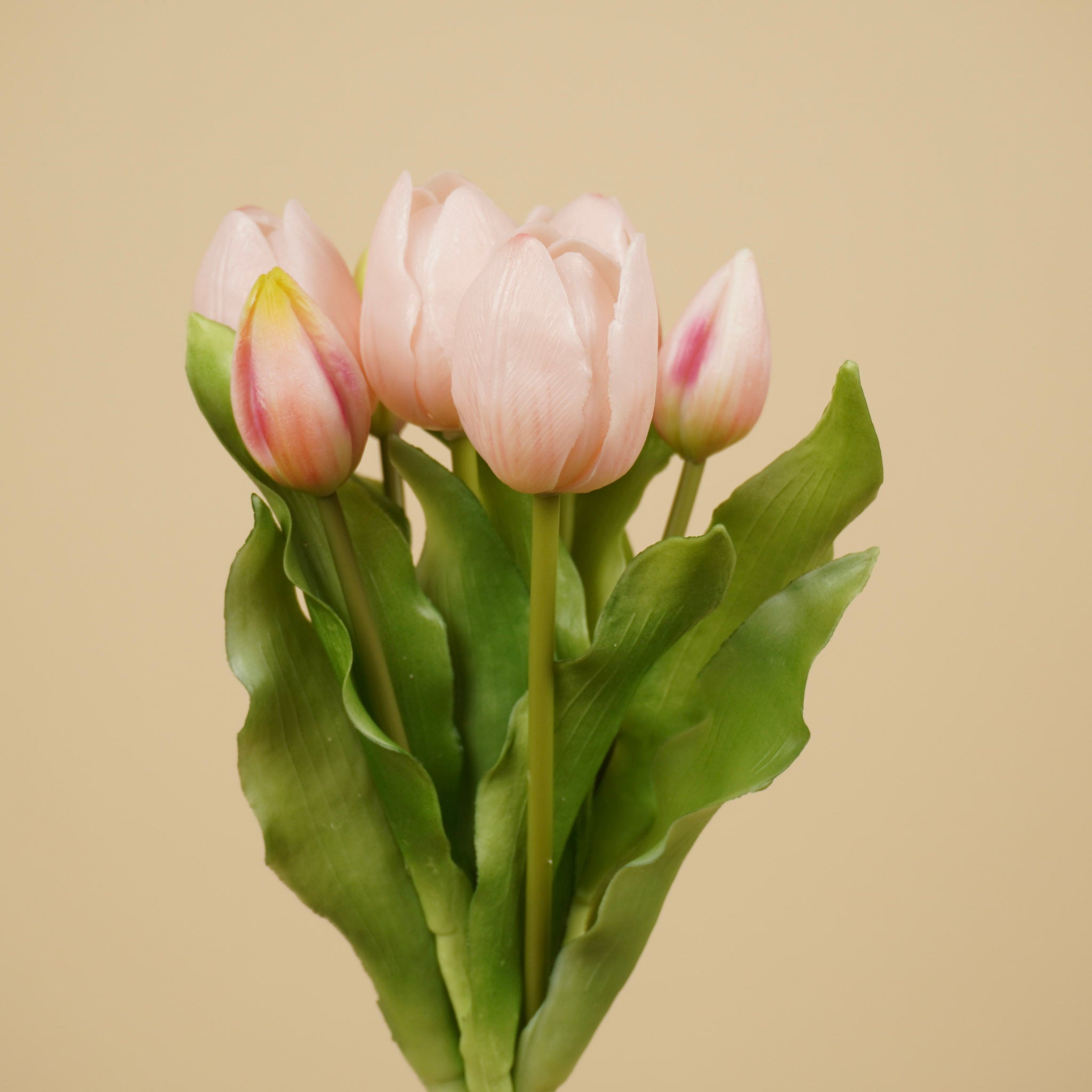 Lathyrus en soie – Crème (75 cm)