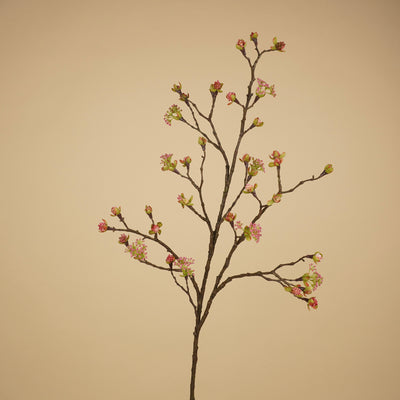 Viburnum Bodnantense à soie – Rose tendre (110 cm)